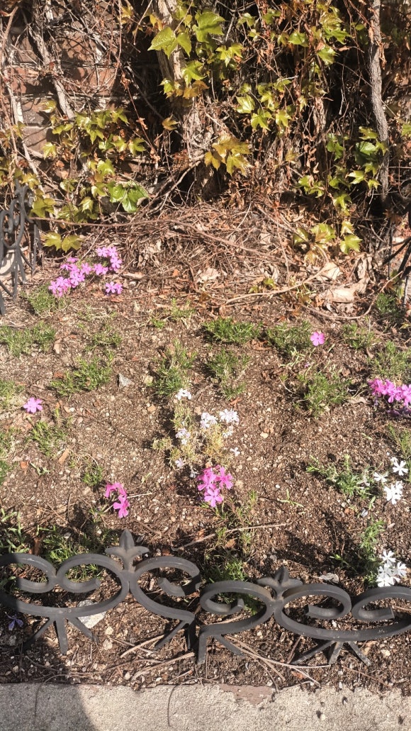 ���� �п� ȭ�ܿ� ������ ����